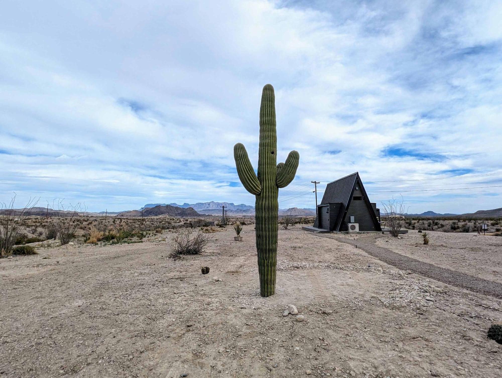 Stardust Luxury Cottage With Loft & A Great View Terlingua Eksteriør billede
